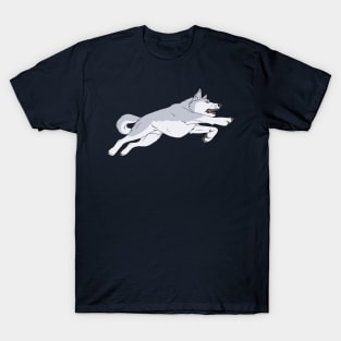 Ginga Nagareboshi Gin - Gin T-Shirt